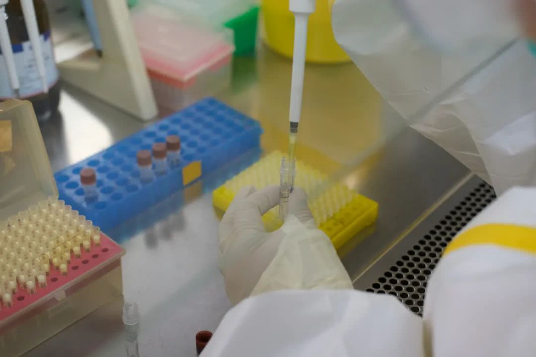 核酸檢測又降價！多地增設(shè)24小時檢測服務(wù)機(jī)構(gòu)