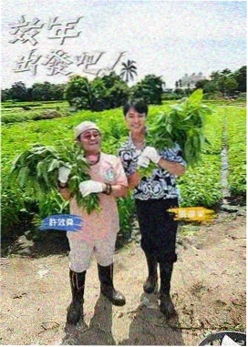 果冻大作战